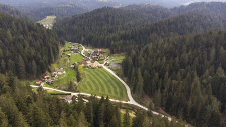 Lehen